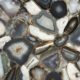 Specialty Stone – Agate, Petrified Wood, Granite
