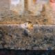 Are You Ruining Your Countertops?